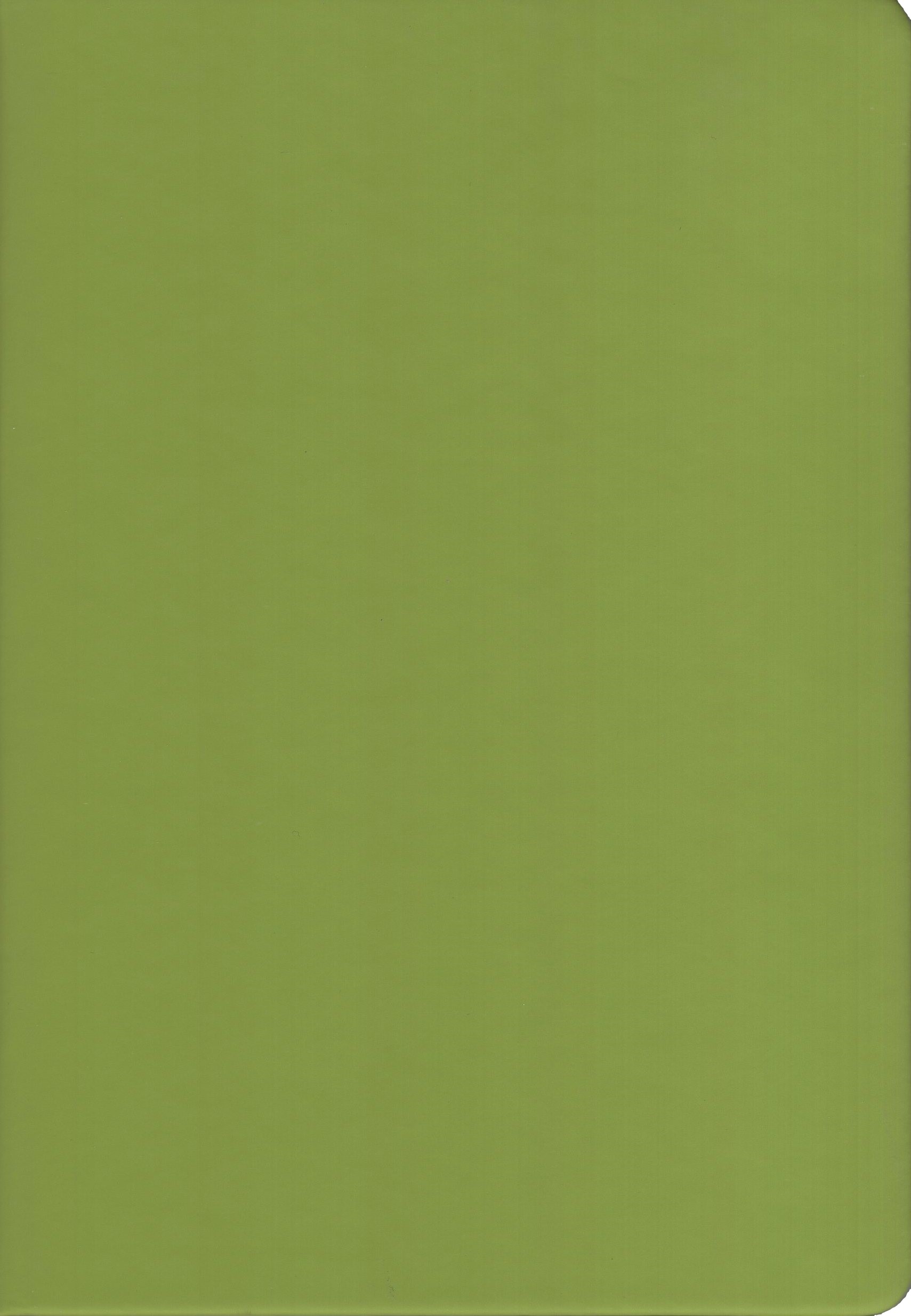 Книжка записная A5 80л клетка тв.обл. Салатовый кожзам soft touch ляссе deVENTE 2251415
Книжка записная A5 80л клетка тв.обл. Салатовый кожзам soft touch ляссе deVENTE 2251415