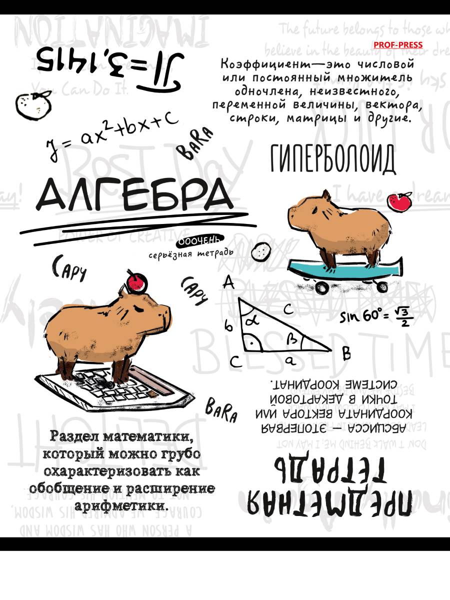 Тетрадь предметная 48л клетка мелов.картон Капибара Алгебра лен PROF-PRESS 48-0031
Тетрадь предметная 48л клетка мелов.картон Капибара Алгебра лен PROF-PRESS 48-0031