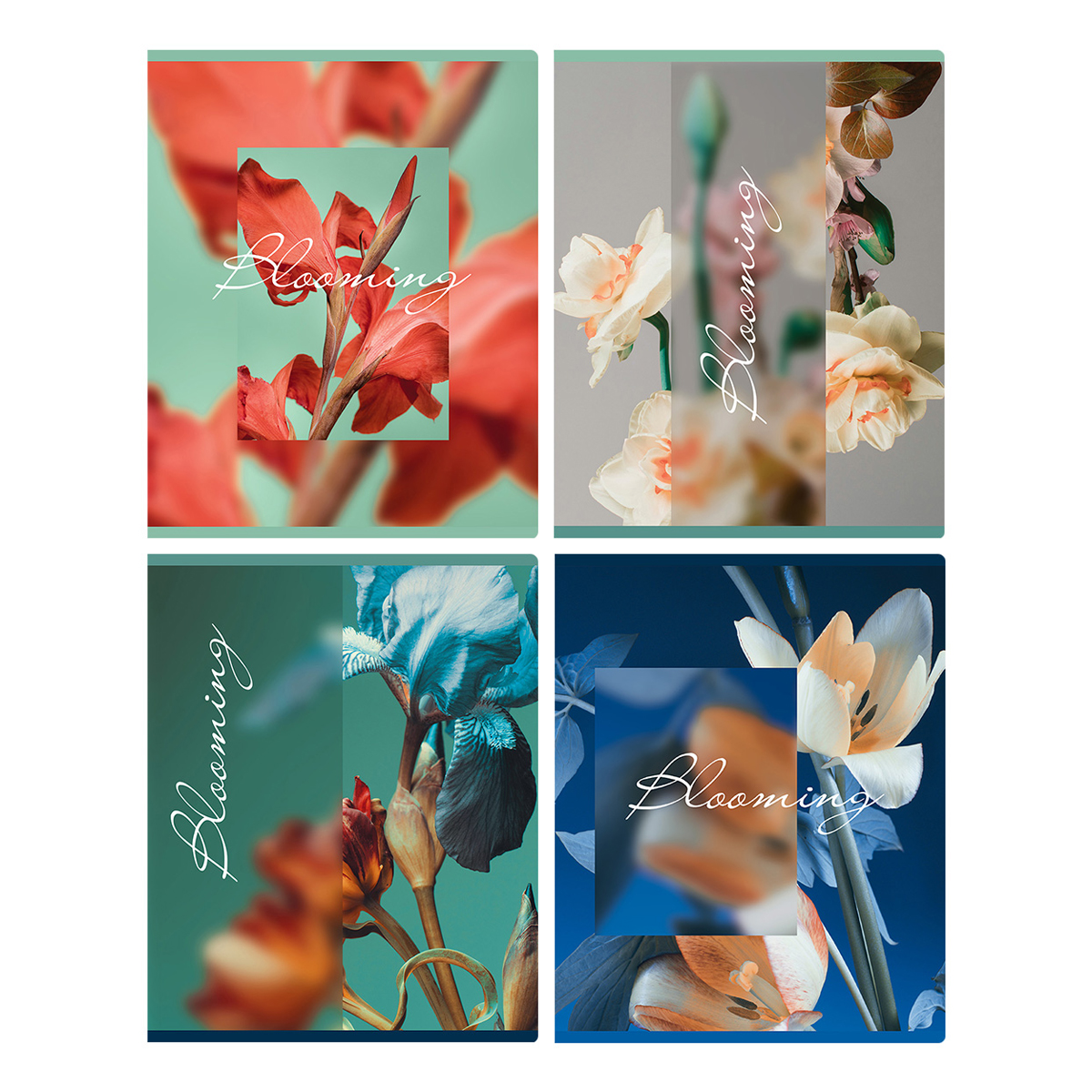 Тетрадь А5 48л клетка скрепка мелов.картон Blooming мат.лам. ассорти BG Т5ск48_мл 12712
Тетрадь А5 48л клетка скрепка мелов.картон Blooming мат.лам. ассорти BG Т5ск48_мл 12712