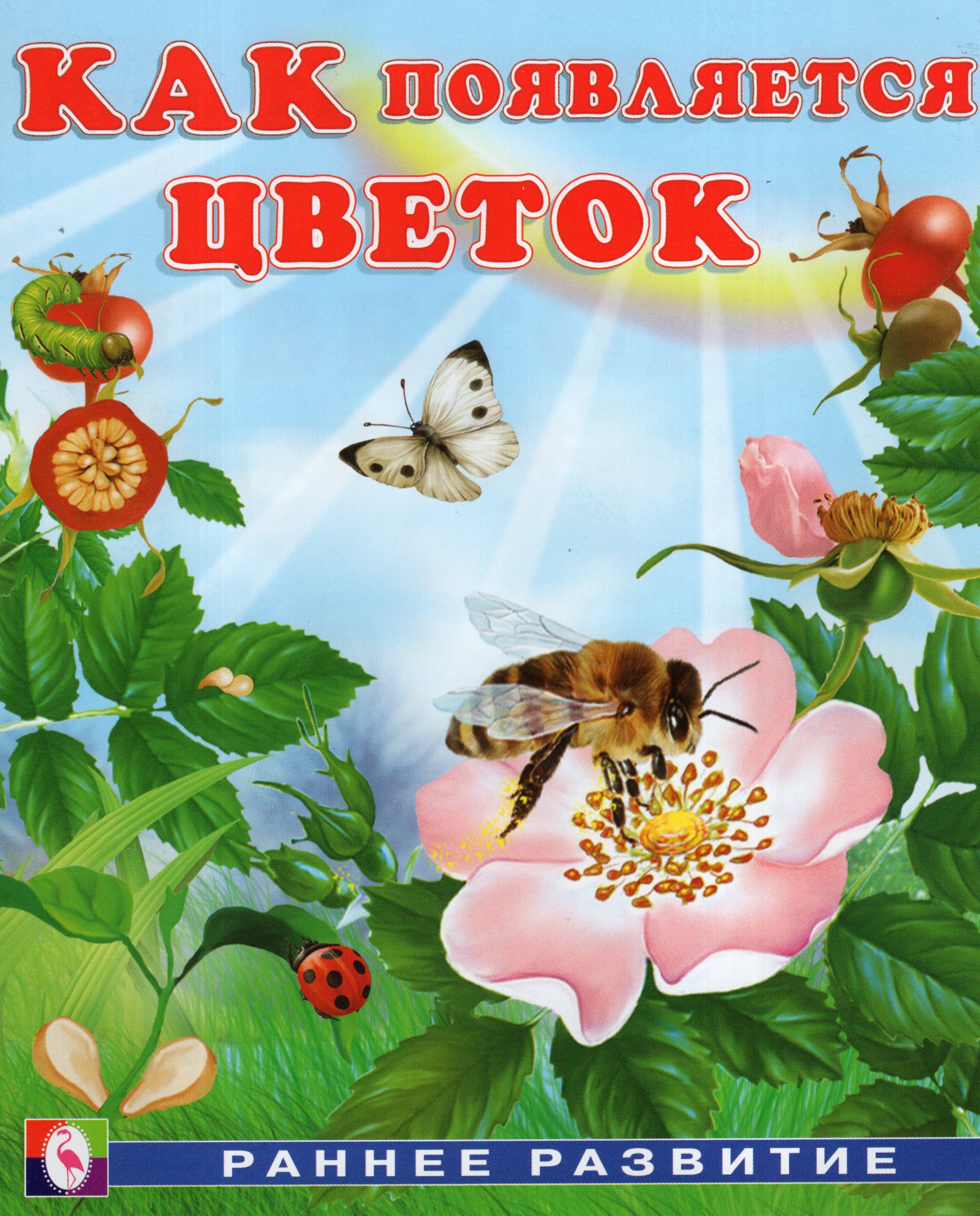 Как появляется цветок
Как появляется цветок