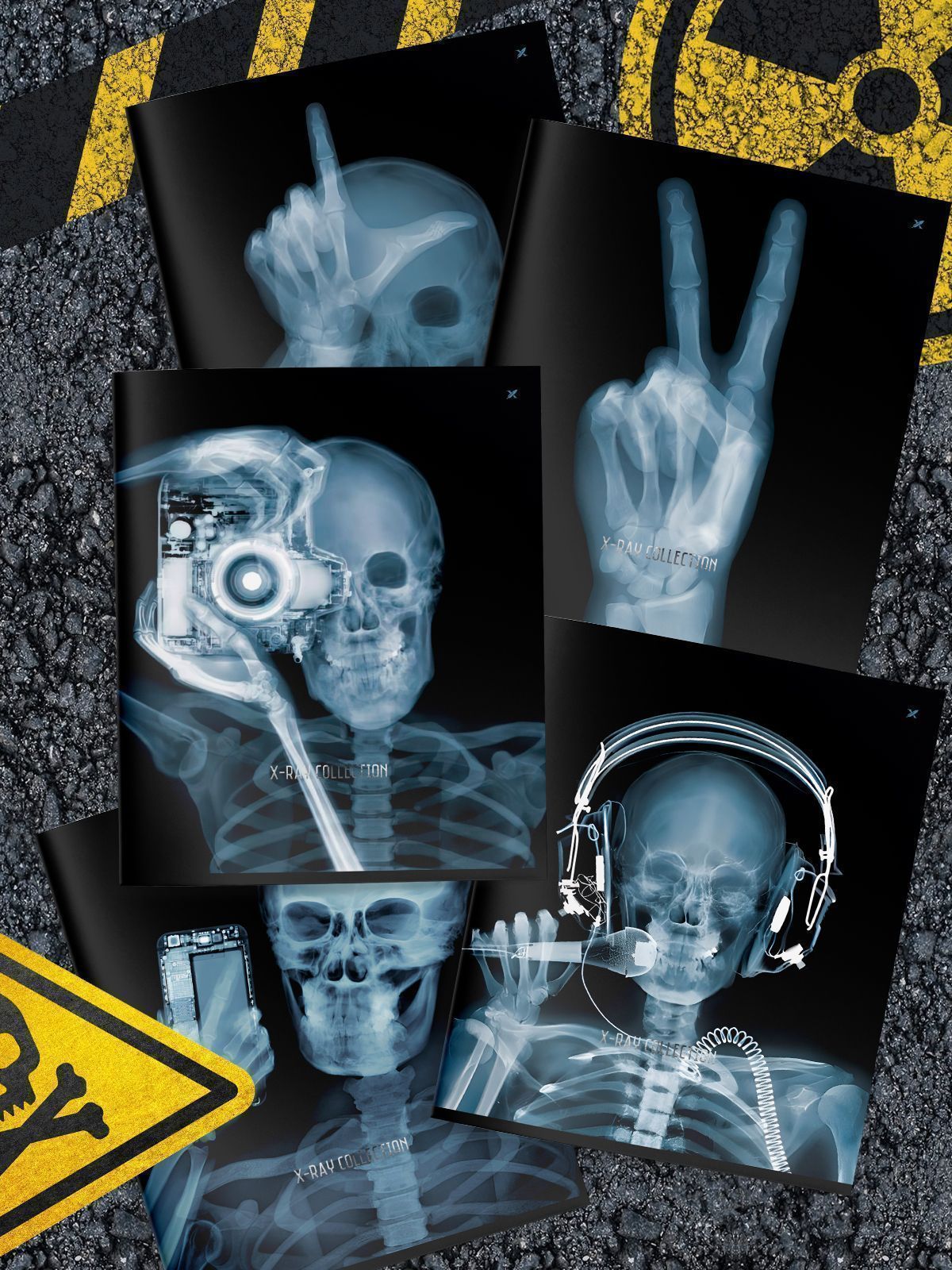 Тетрадь А5 48л клетка скрепка мелов.картон X-Ray soft touch фольга ассорти LOREX LXCBCL-XR
Тетрадь А5 48л клетка скрепка мелов.картон X-Ray soft touch фольга ассорти LOREX LXCBCL-XR