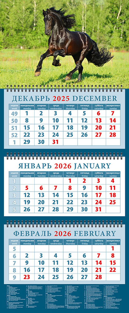 Календарь 2026 3х-блочный 320х760мм Гребень Год лошади.Черный красавец День за Днем 14608 
Календарь 2026 3х-блочный 320х760мм Гребень Год лошади.Черный красавец День за Днем 14608