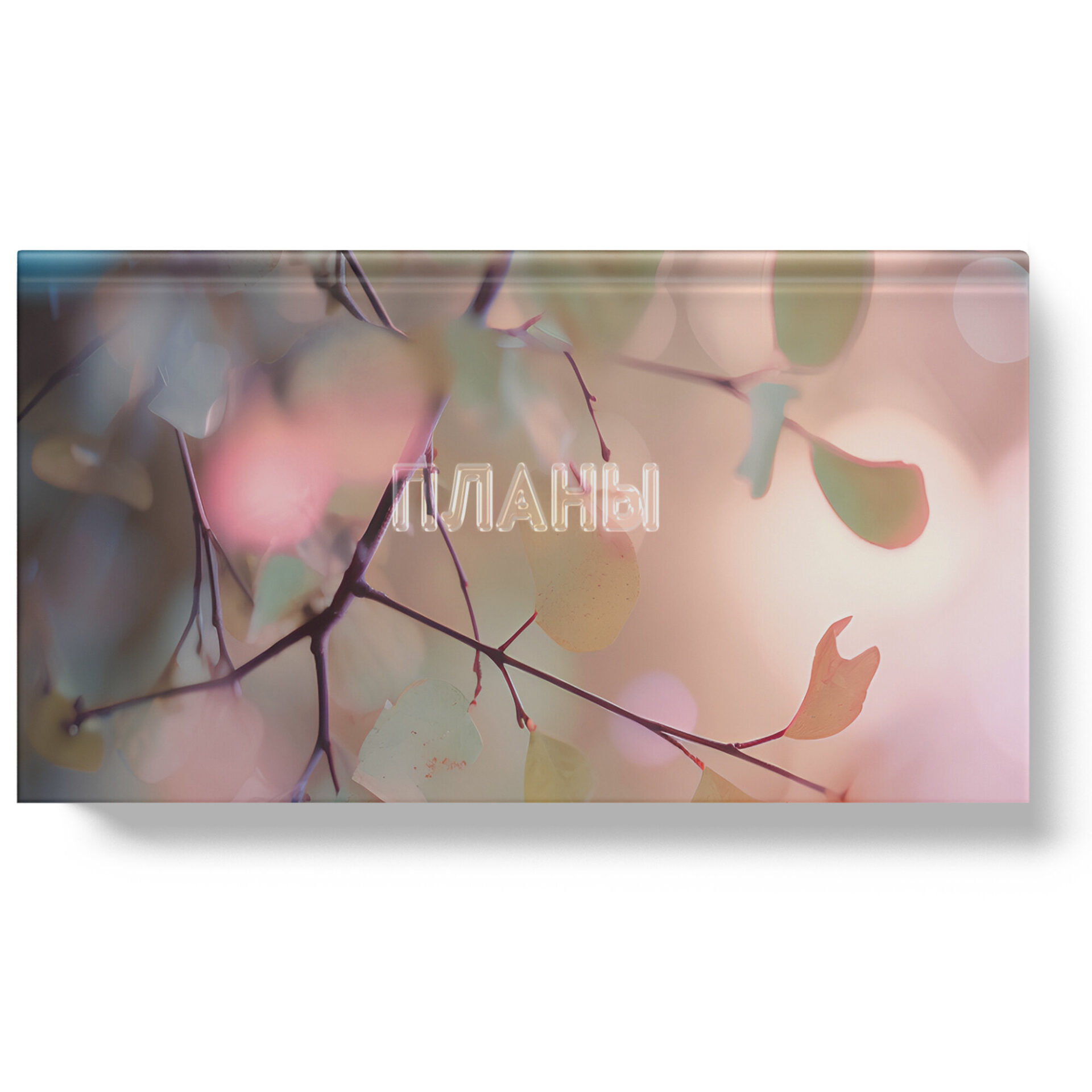 Планинг 95х170мм 64л недатир. тв.обл. Поэзия дней soft touch Listoff ПК2566402
Планинг 95х170мм 64л недатир. тв.обл. Поэзия дней soft touch Listoff ПК2566402