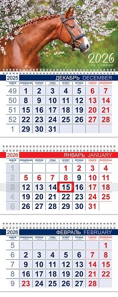 Календарь 2026 3х-блочный 300х750мм Гребень ОФИС Год Лошади HATBER 3Кв3гр3_34346
Календарь 2026 3х-блочный 300х750мм Гребень ОФИС Год Лошади HATBER 3Кв3гр3_34346