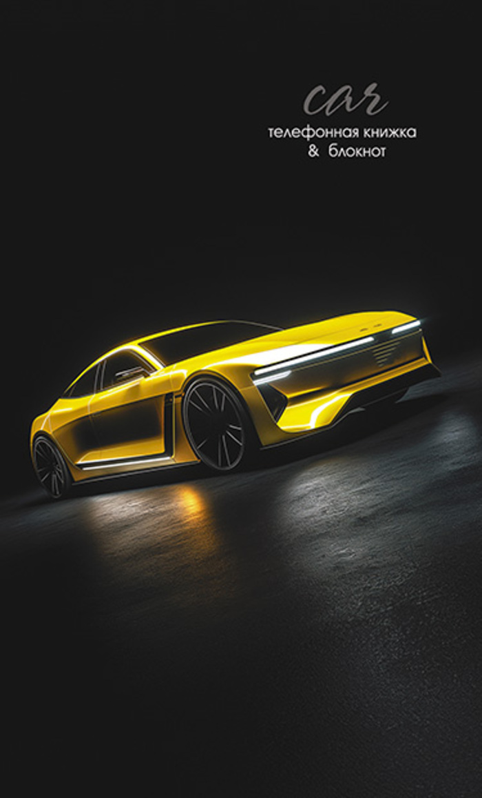 Телефонная книга А6 48л скрепка мягк.обл. + блокнот Авто на черном вырубка АППЛИКА С0228-115 
Телефонная книга А6 48л скрепка мягк.обл. + блокнот Авто на черном вырубка АППЛИКА С0228-115