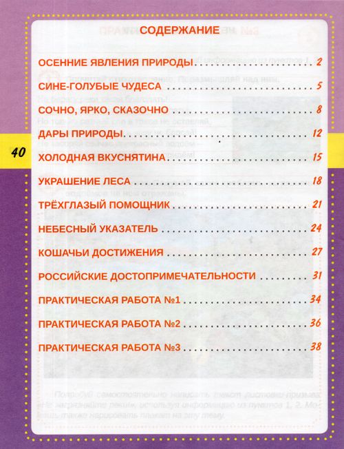 В мире информации 2 класс шейкина. Тренажер для чтения. шейкина смысловое чтение. шейкина с.а. &quot;смысловое чтение. тренажёр для школьников 3 класс&quot;. тренажер для чтения 2 класс.