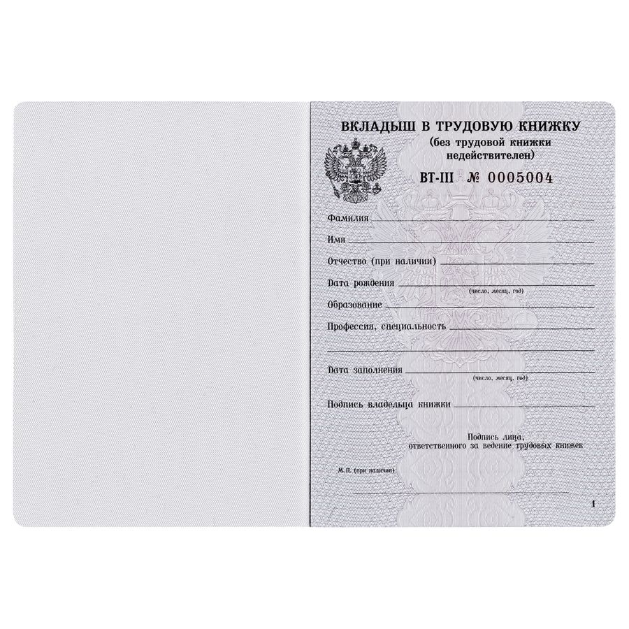 Бланк Вкладыш в трудовую книжку 2023г ГОЗНАК - купить с доставкой по ...