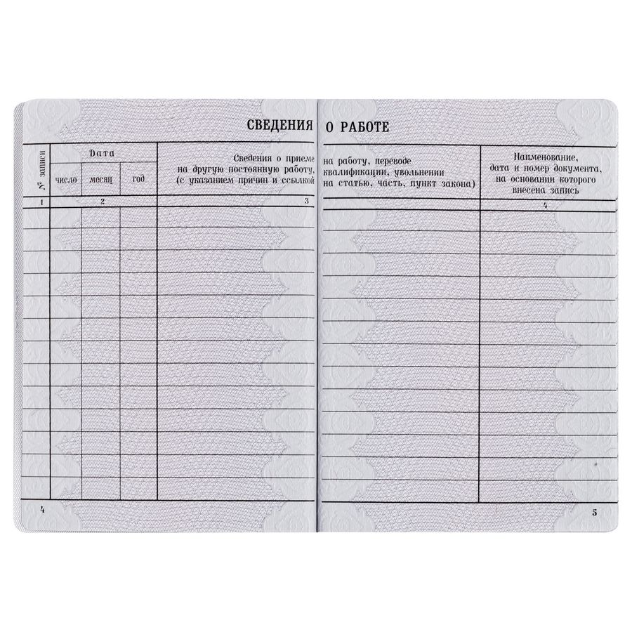 Бланк Вкладыш в трудовую книжку 2023г ГОЗНАК - купить с доставкой по ...