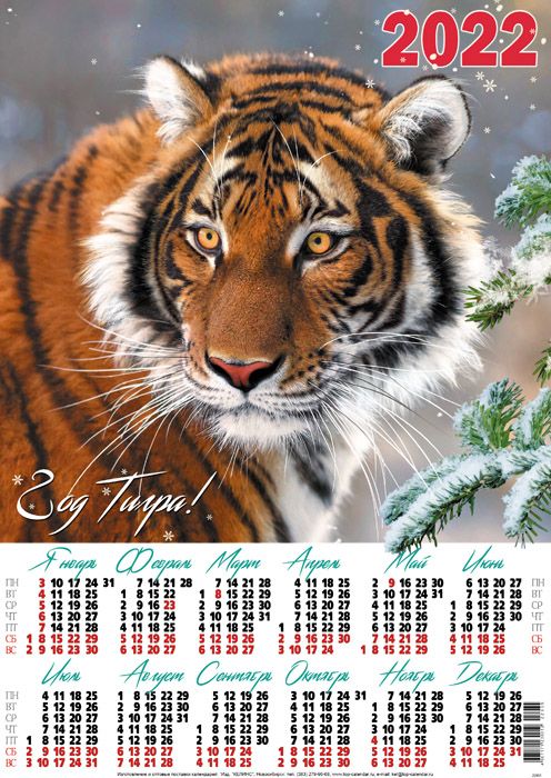 Календарь 2022 листовой А2 Тигр с еловой веткой без лака Келинс 22935 ...