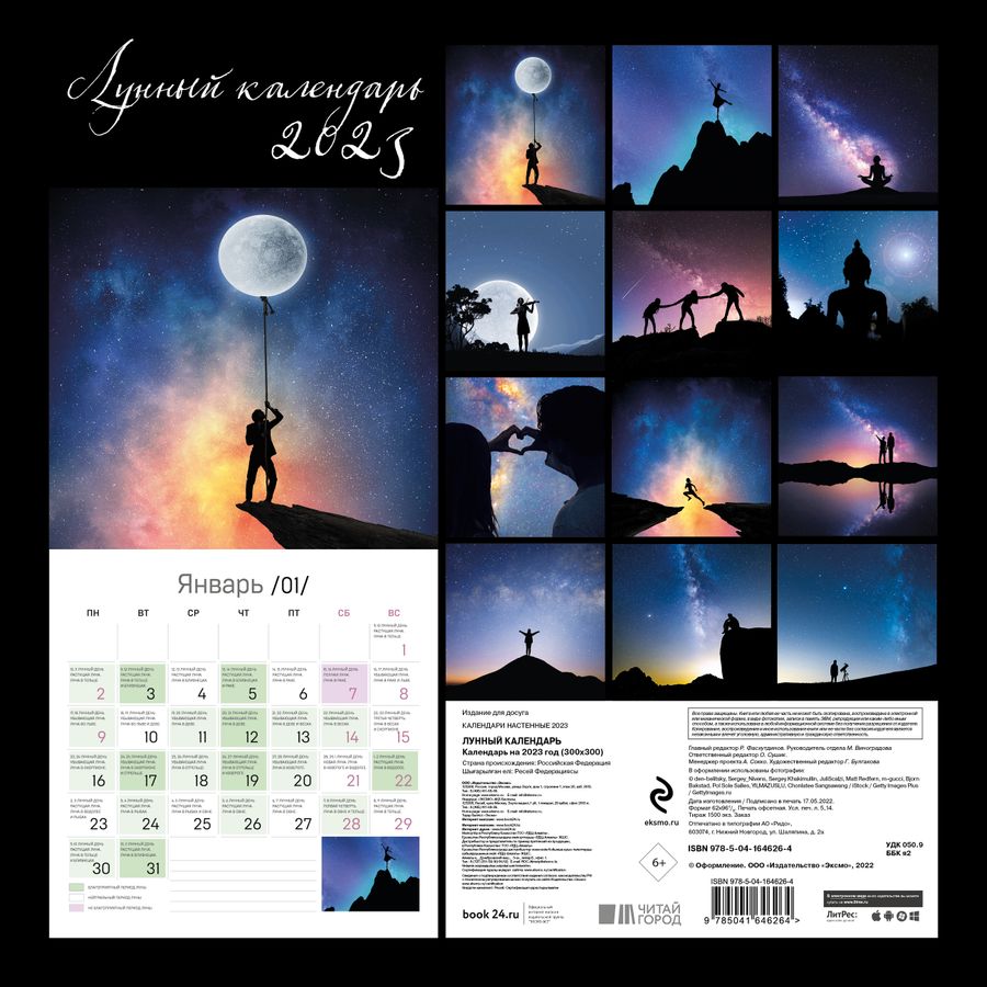 Ирина Шевченко: Лунный календарь от профессионала. 2021 год - купить с доставкой