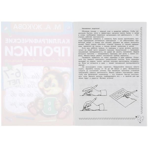 Развиваем навыки письма 6-7 лет. Каллиграфические прописи Жукова М.А ...