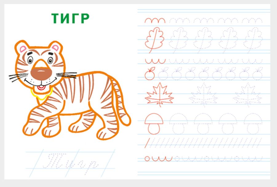 Тигр для детей дошкольного возраста. Тигр по инглишу. Иероглиф тигр китайский. Р-р-р-р рычание. Чем опасен амурский тигр.