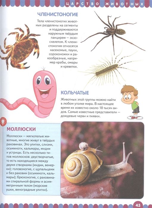 Первая книга обо всем на свете. Энциклопедия для детей - купить книгу с ...