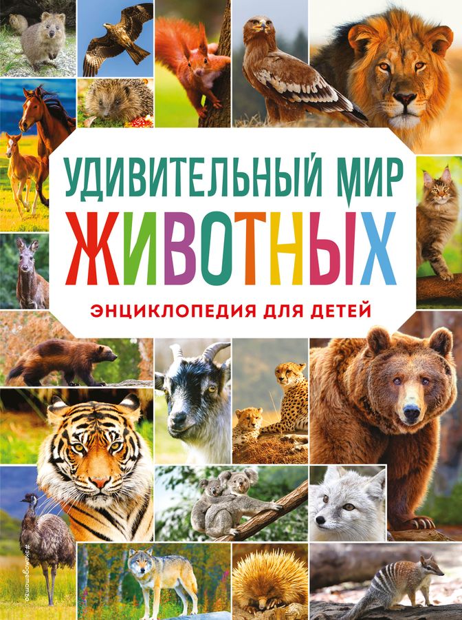 Удивительный мир энциклопедий. Земля удивительная энциклопедия дисней. Энциклопедия. Современная энциклопедия для мальчиков. Энциклопедия.