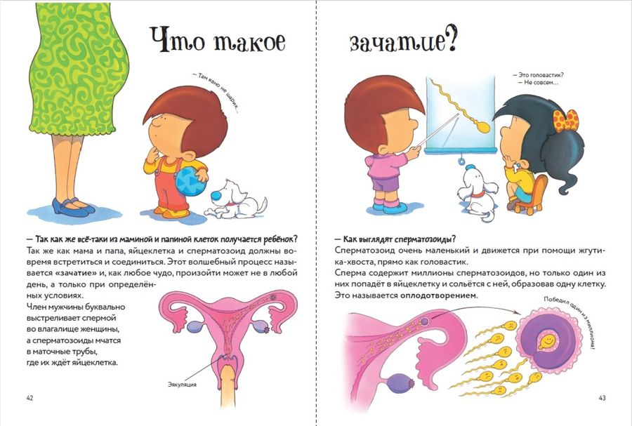 Откуда берутся дети процесс по настоящему фото