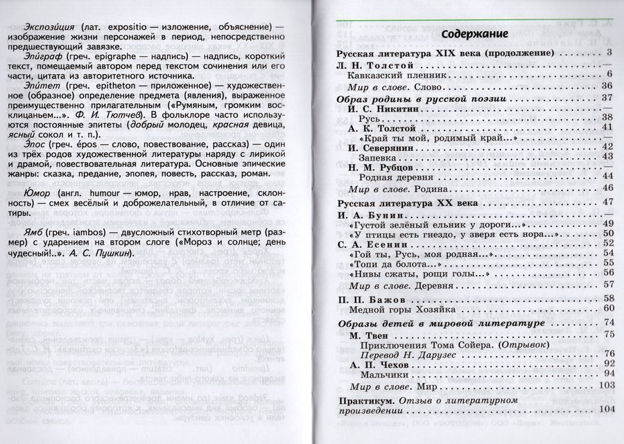 Литература. 5 класс. Учебник. Часть 2 - Мамонова И.В. | Купить с ...