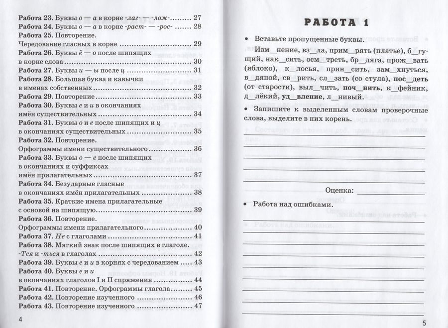 Русский язык. 5 класс. Проверочные работы. К учебнику Т.А. Ладыженской ...