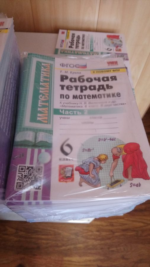 Математика. 6 класс. Рабочая тетрадь. Часть 2. К учебнику Н. Я ...