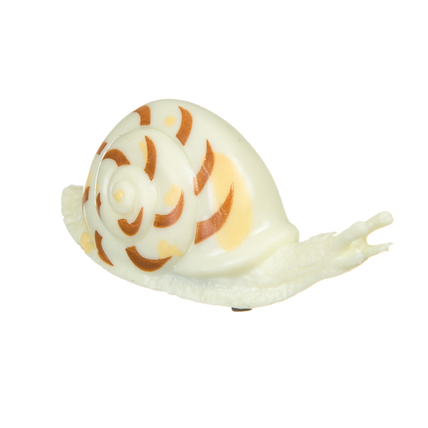 улитки фото красивые. Euglandina rosea улитка. брюхоногие моллюски виноградная улитка. улитка сползает. флоридские древесные улитки.