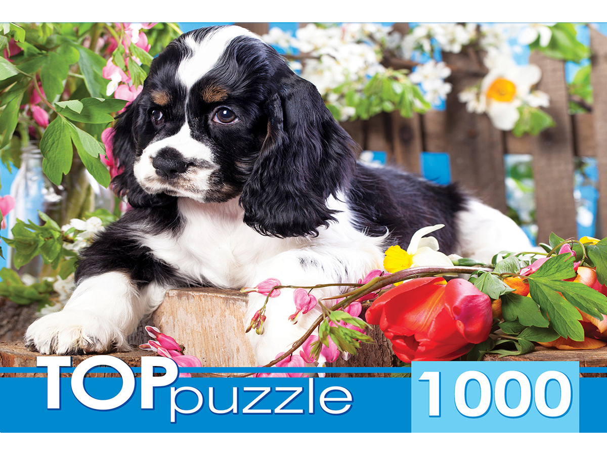 

Пазлы 1000 элементов Щенок спаниеля в саду TOPpuzzle ГИТП1000-2143