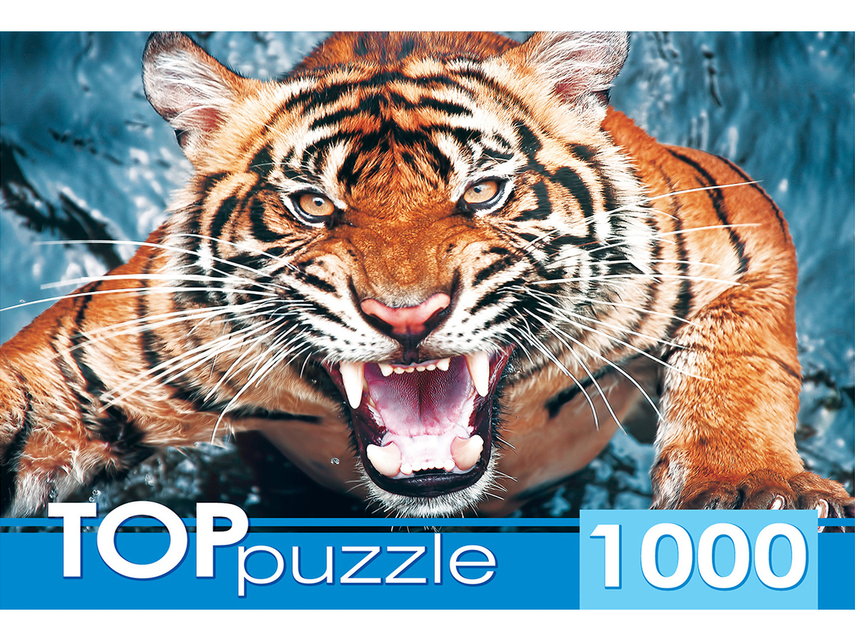 

Пазлы 1000 элементов Грозный тигр TOPpuzzle ГИТП1000-2145