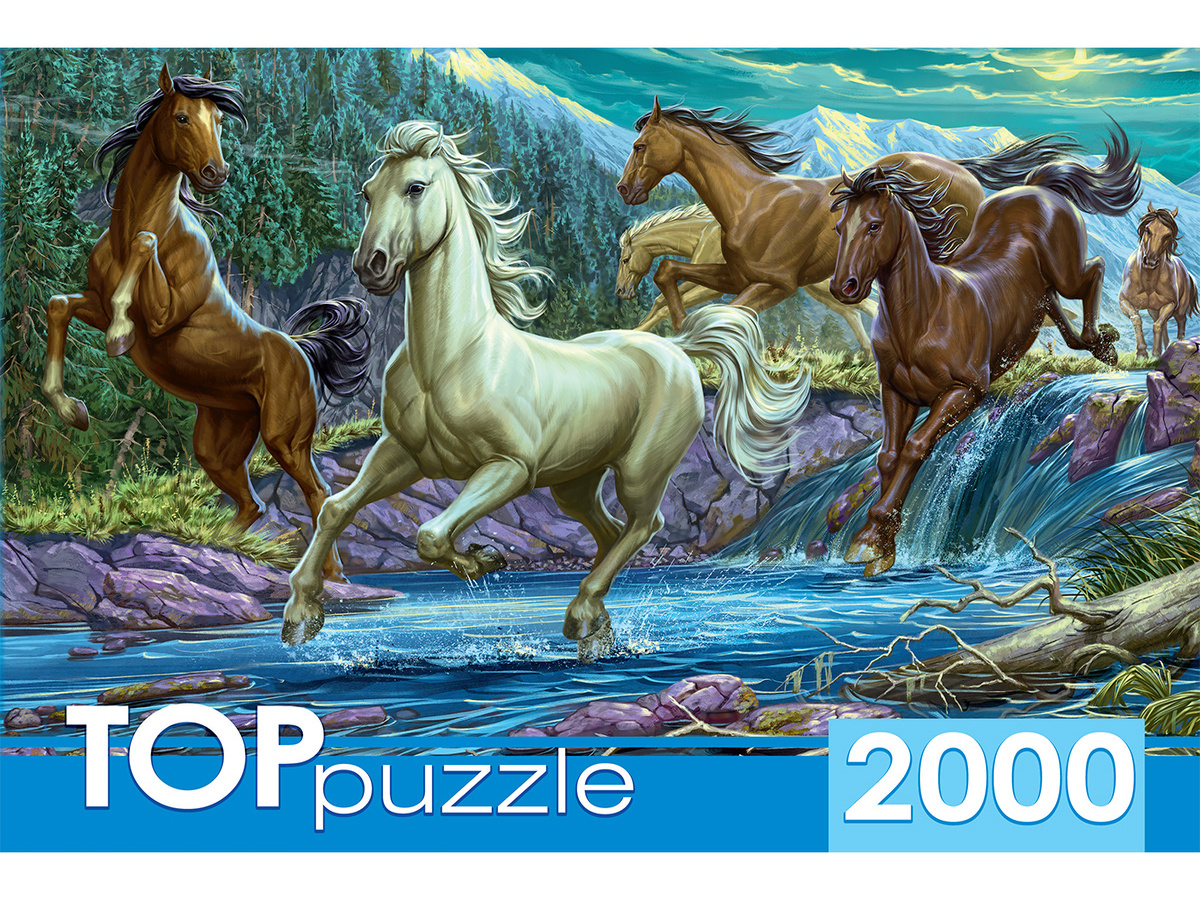 

Пазлы 2000 элементов Ночной табун лошадей TOPpuzzle ХТП2000-1594