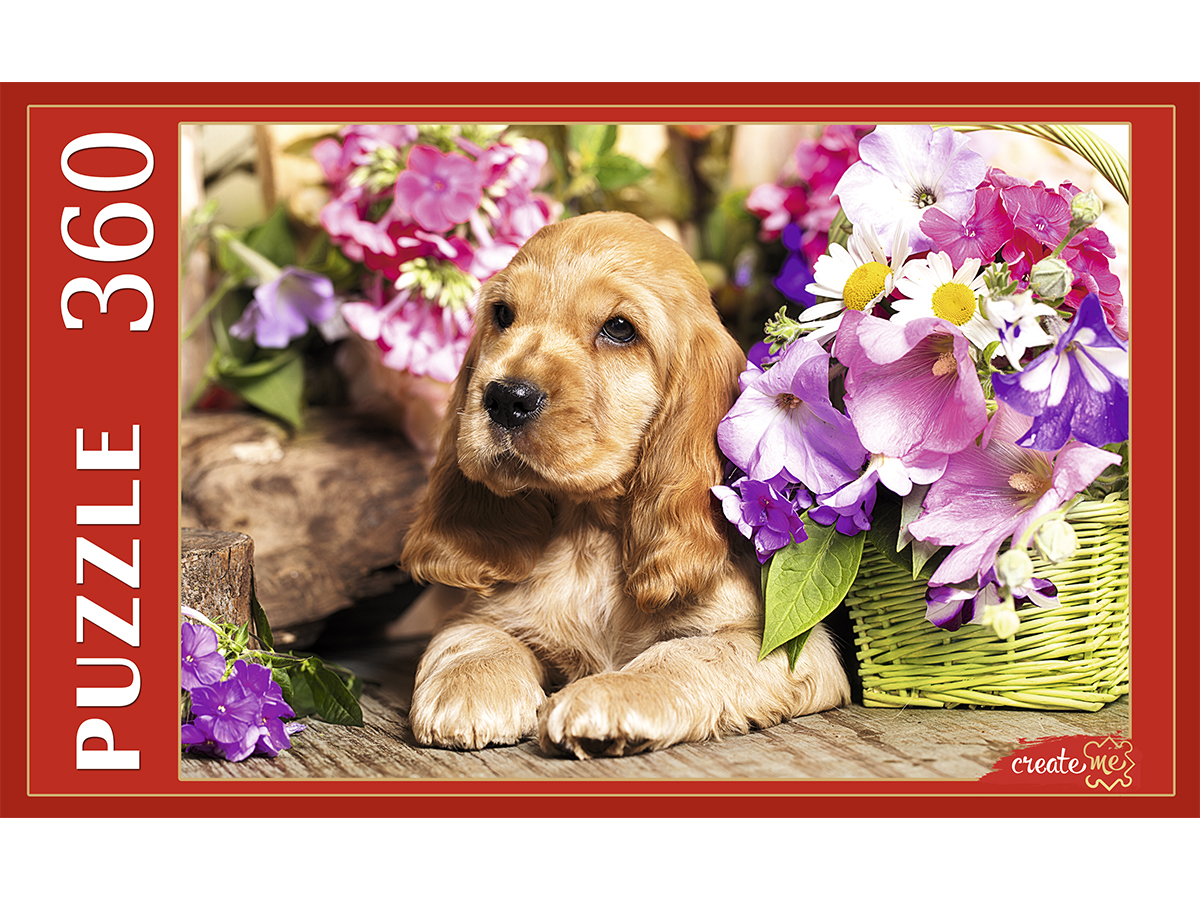 Пазлы 360 элементов Прелестный спаниель РЫЖИЙ КОТ ШТП360-4699 209₽