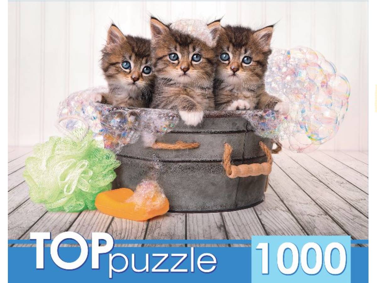 

Пазлы 1000 элементов Три голубоглазых котенка TOPpuzzle ШТТП1000-7182