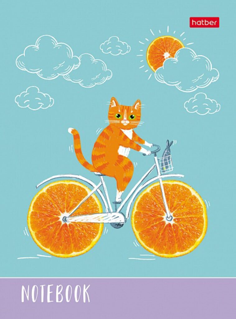 

Книжка записная А6 48л клетка тв.обл. Котик-апельсинчик глянц.лам. HATBER 48ЗКт6В1_29985