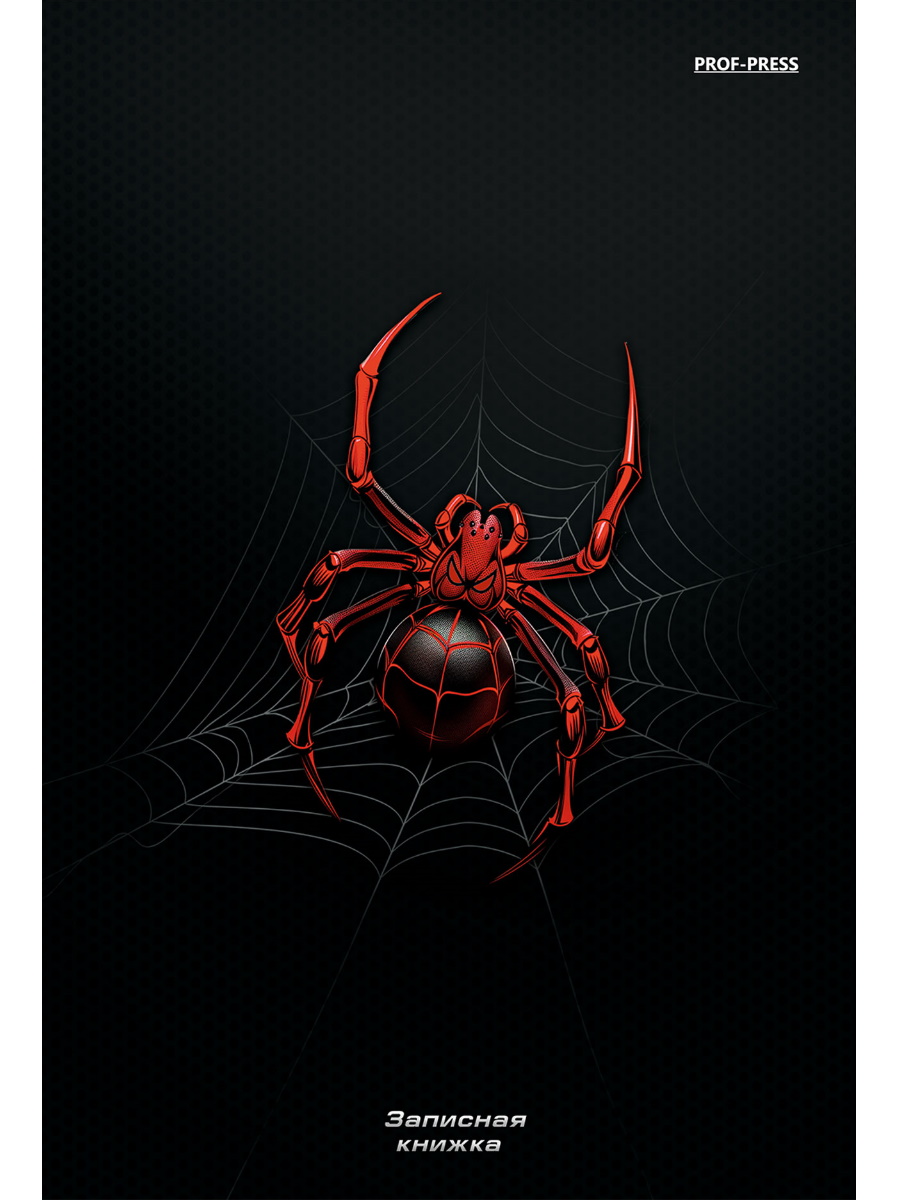 

Книжка записная А5 80л клетка тв.обл. Спайдер черный твин лак PROF-PRESS 80-1809