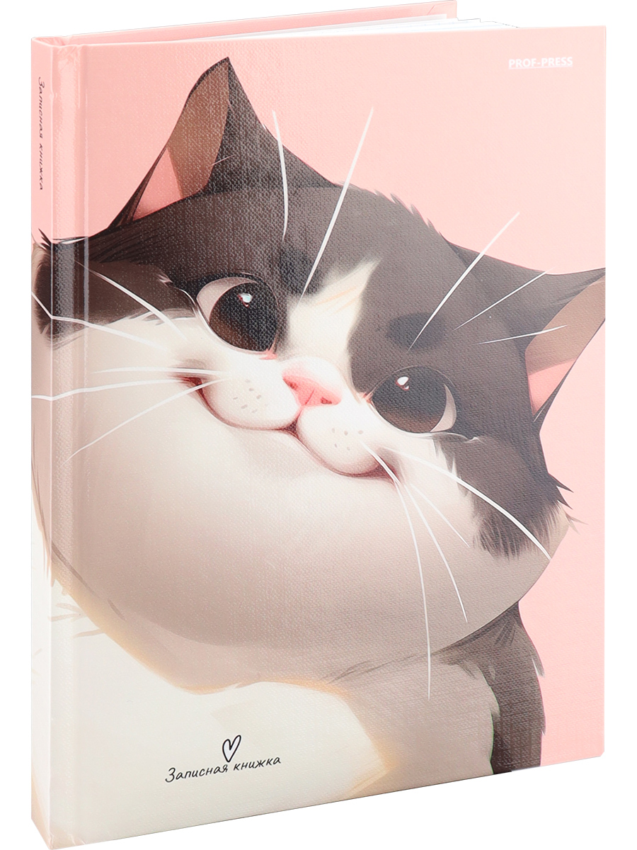 

Книжка записная А5 160л клетка тв.обл. Коты-1 глянц.лам. лен PROF-PRESS 160-1703