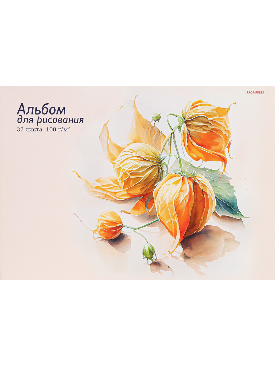 

Альбом для рисования А4 32л склейка Оранжевое растение 100г/м2 PROFIT 32-3931 (жен)