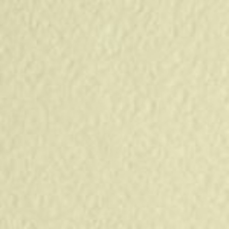 

Бумага для рисования акварелью А2 280г/м2 слоновая кость цена за 1шт ЛИЛИЯ ХОЛДИНГ БРСК/А2