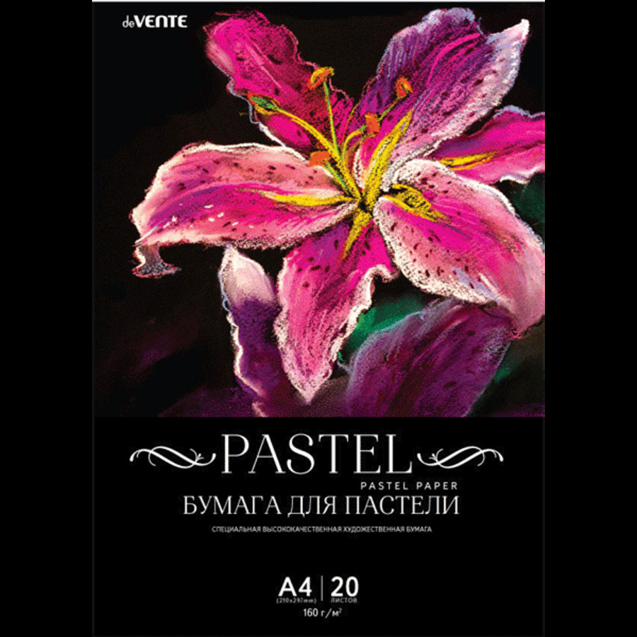 

Папка для рисования пастелью А4 20л черный пласт. пакет 160г/м2 deVENTE 2132903