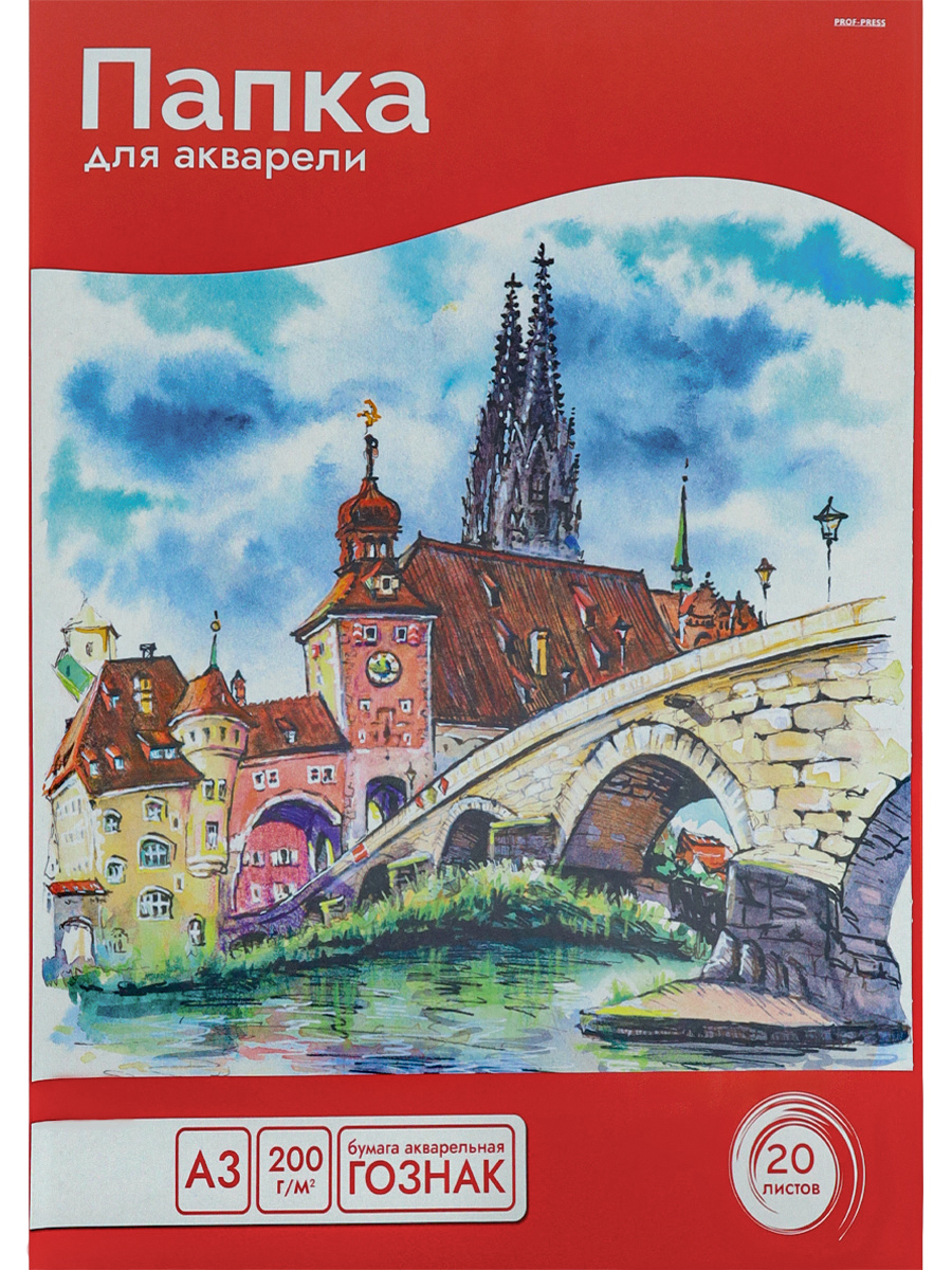 

Папка для рисования акварелью А3 20л Сказочный городок-1 200г/м2 PROF-PRESS 20-5809