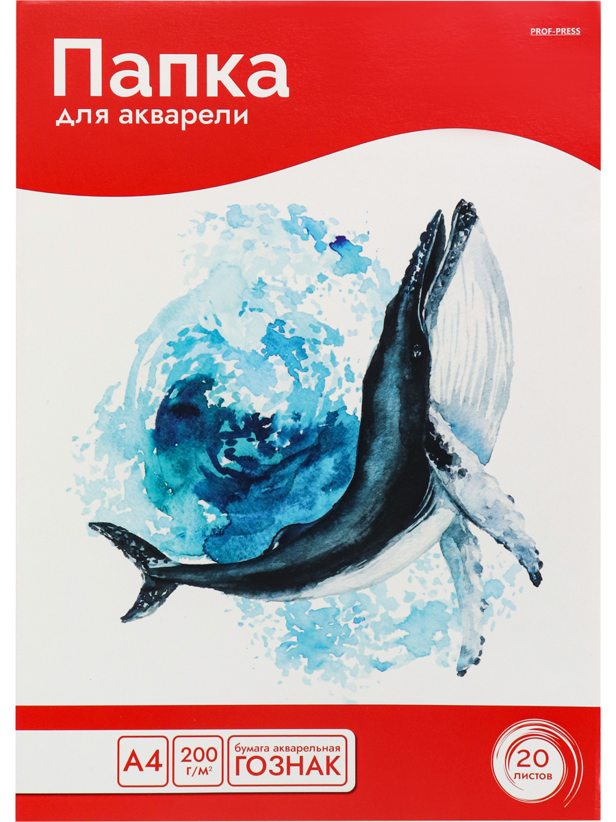 

Папка для рисования акварелью А4 20л Огромный кит-1 200г/м2 PROF-PRESS 20-5812