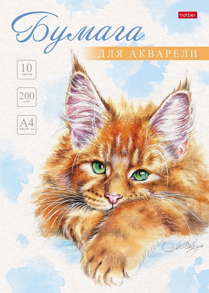

Папка для рисования акварелью А4 10л Рыжий котик 200г/м2 HATBER 10Ба4тВ_29844