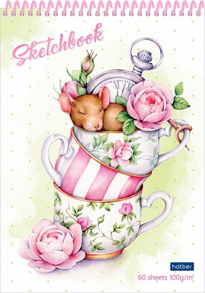 Скетчбук А5 60л гребень пластобл Нежная акварель 100гм2 HATBER 60Б5Aпс_22399 140₽