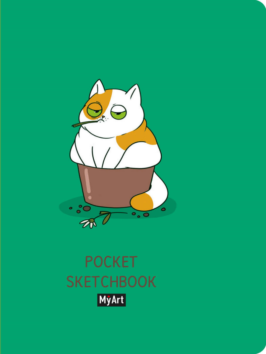 

Скетчбук А6 48л склейка тв.обл. MyArt Pocket Кот PROF-PRESS СЛ48-0249