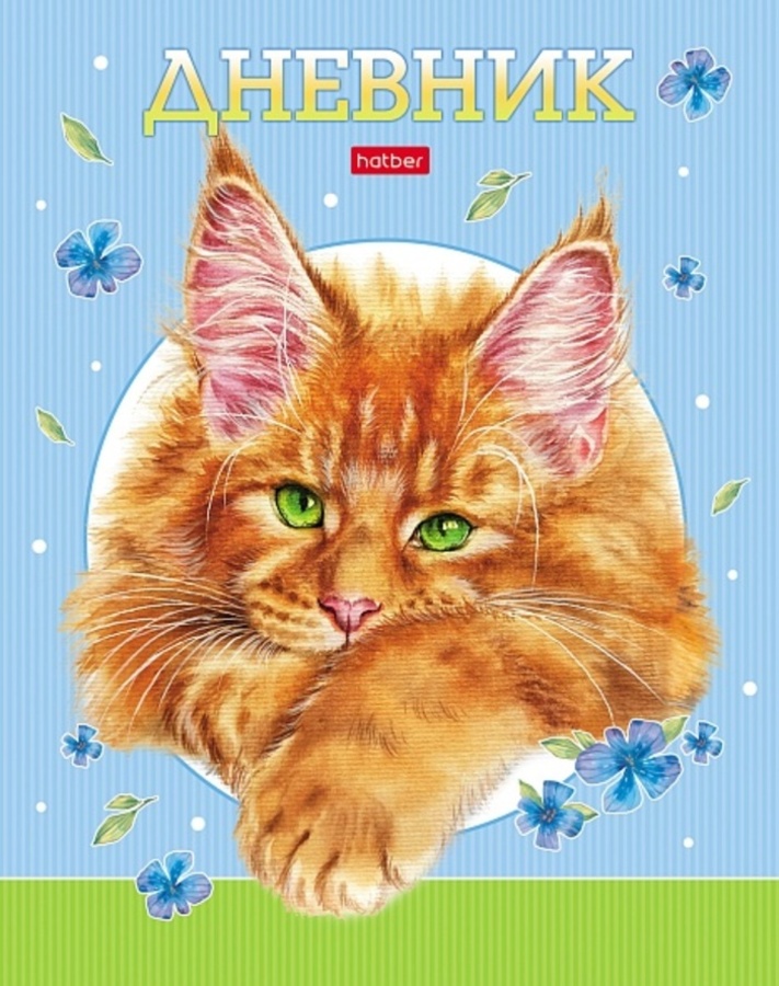 

Дневник универсальный тв.обл. Рыжий котик глянц.лам. HATBER 40ДТ5В_29844