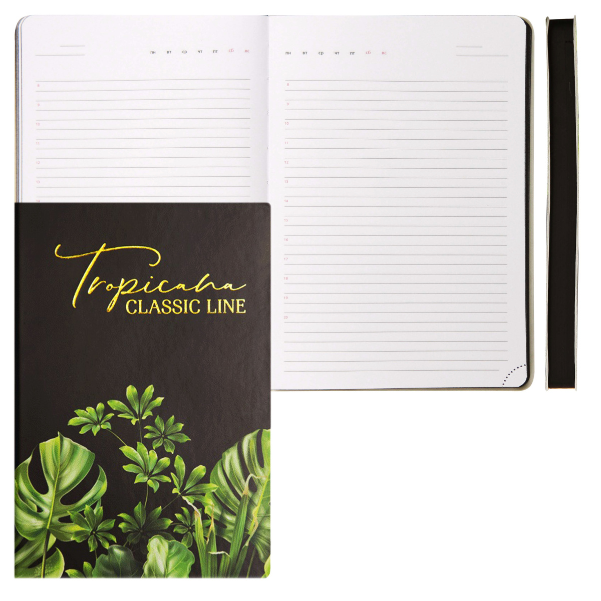 

Ежедневник А5 160л недатир. интег.обл. Tropicana черный кожзам deVENTE 2234491