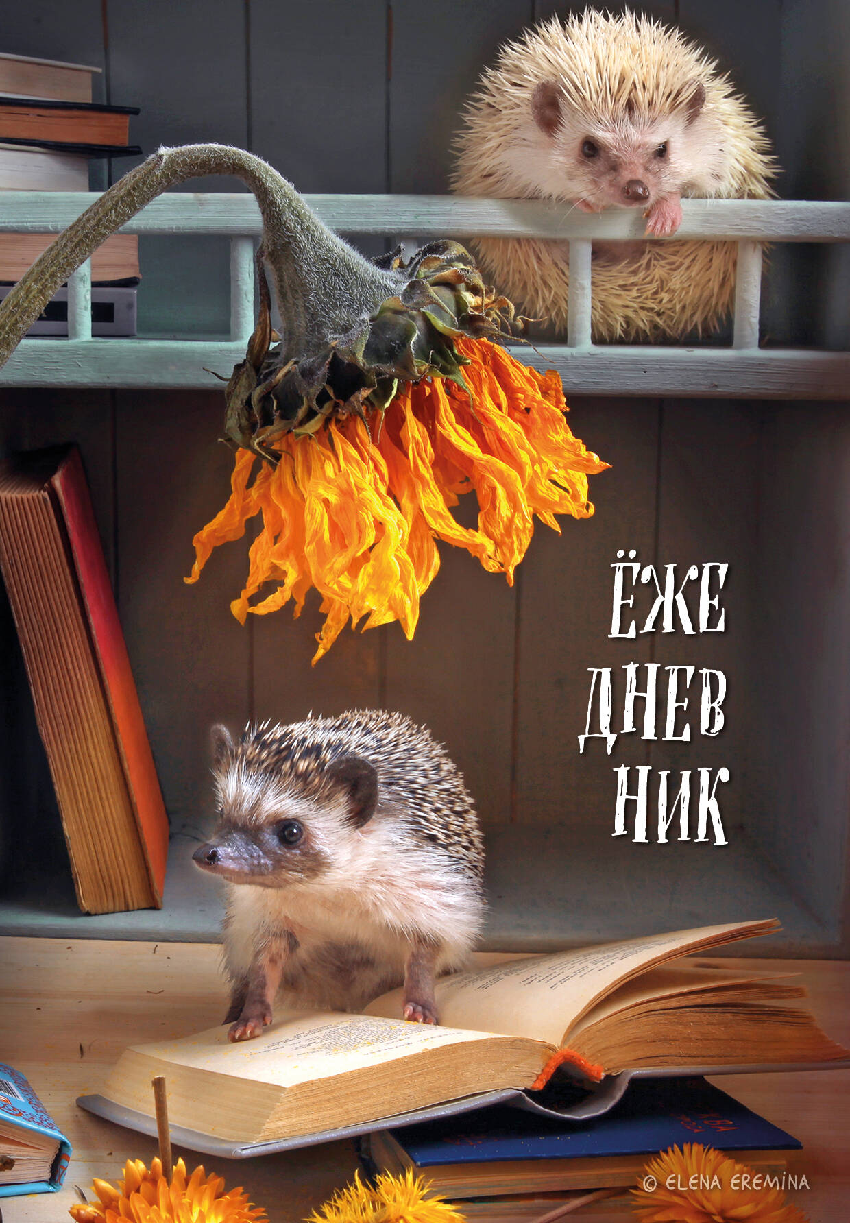 Ежедневник А5 72л недатир твобл Ёжедневник Блокнот для людей и ежей Книги Эксмо 1392898 236₽