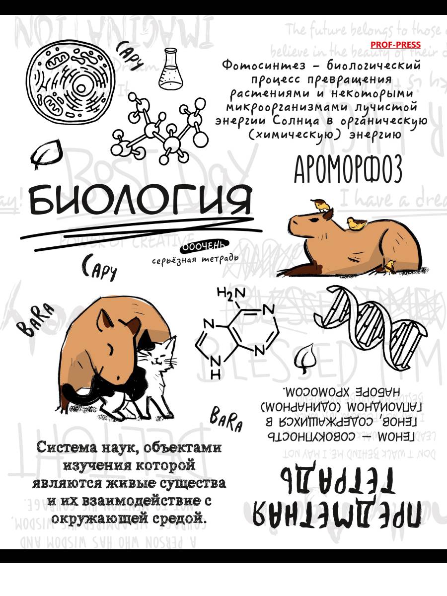 

Тетрадь предметная 48л клетка мелов.картон Капибара Биология лен PROF-PRESS 48-0033