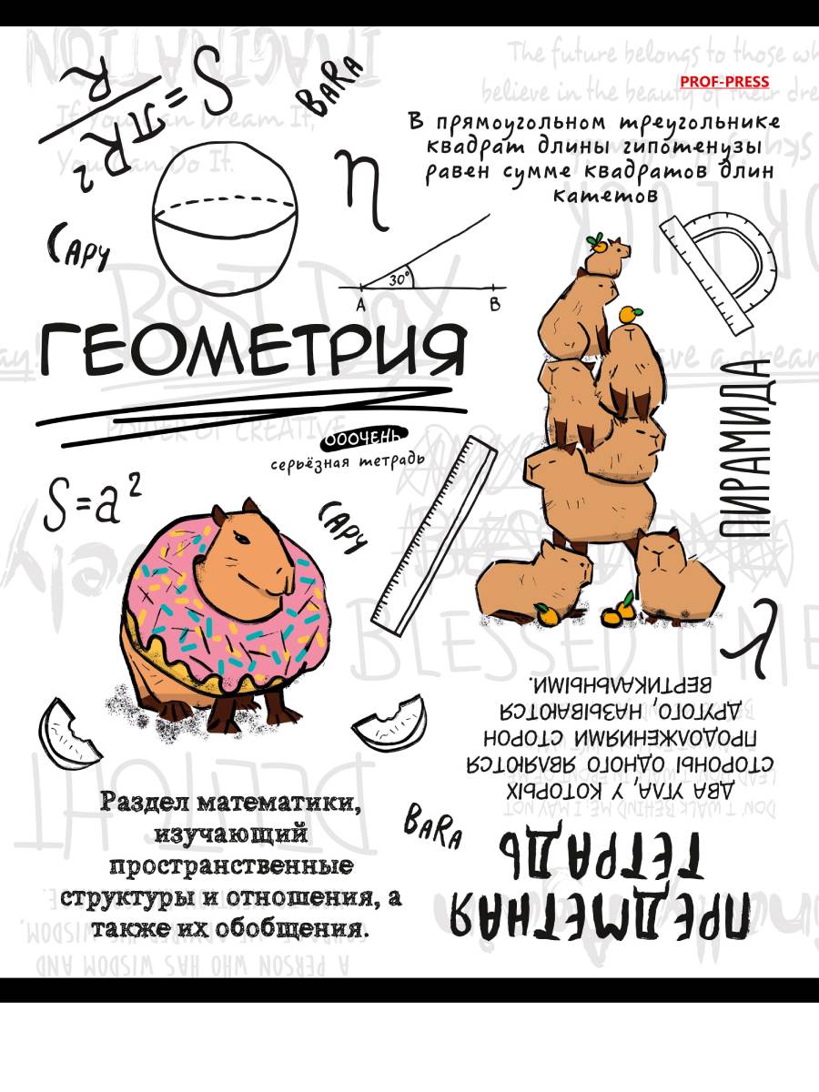 

Тетрадь предметная 48л клетка мелов.картон Капибара Геометрия лен PROF-PRESS 48-0035