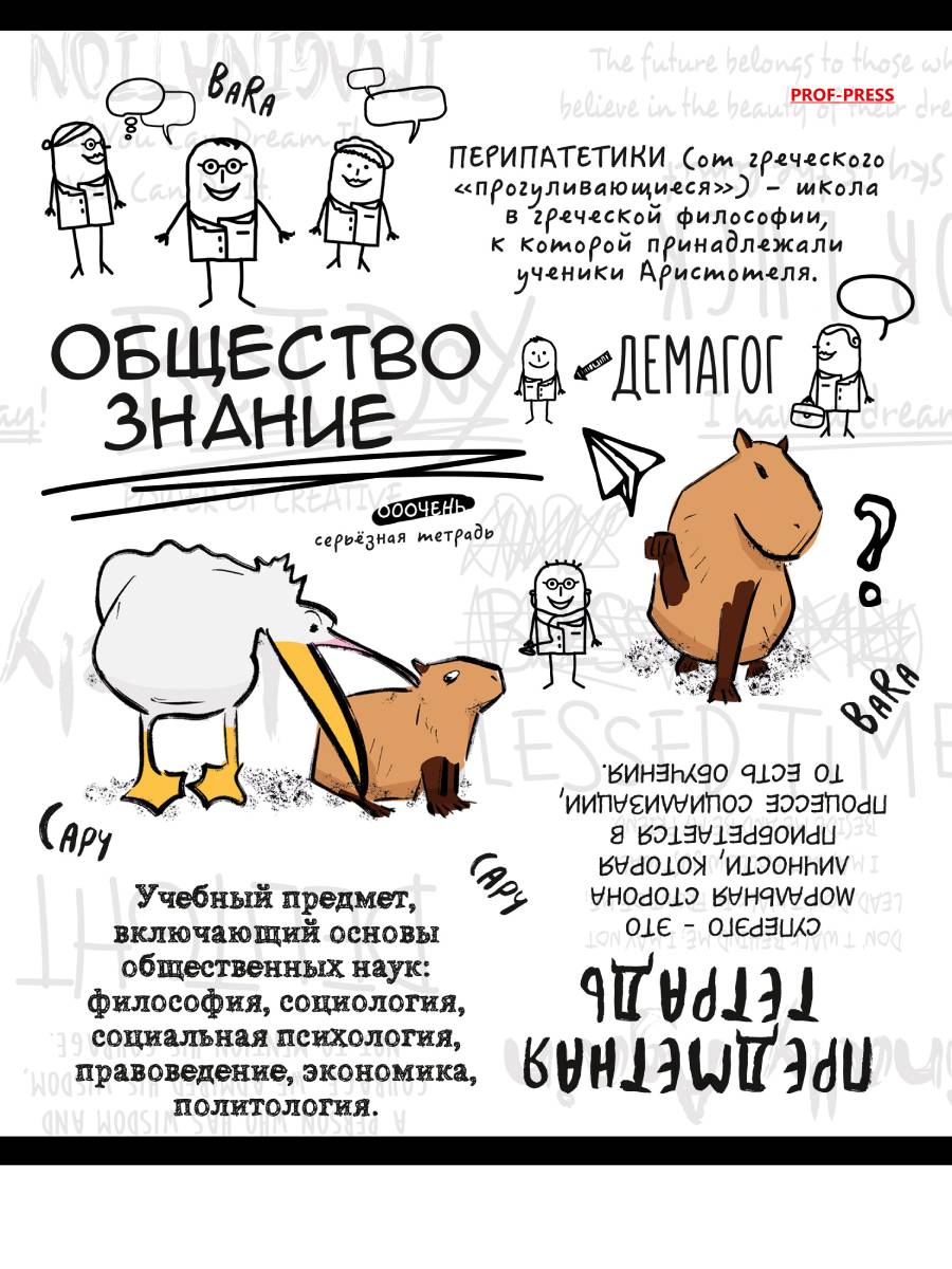 

Тетрадь предметная 48л клетка мелов.картон Капибара Обществознание лен PROF-PRESS 48-0042