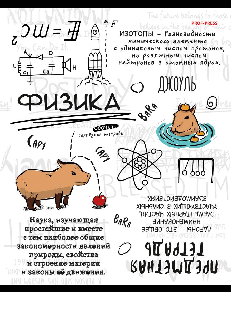 

Тетрадь предметная 48л клетка мелов.картон Капибара Физика лен PROF-PRESS 48-0001