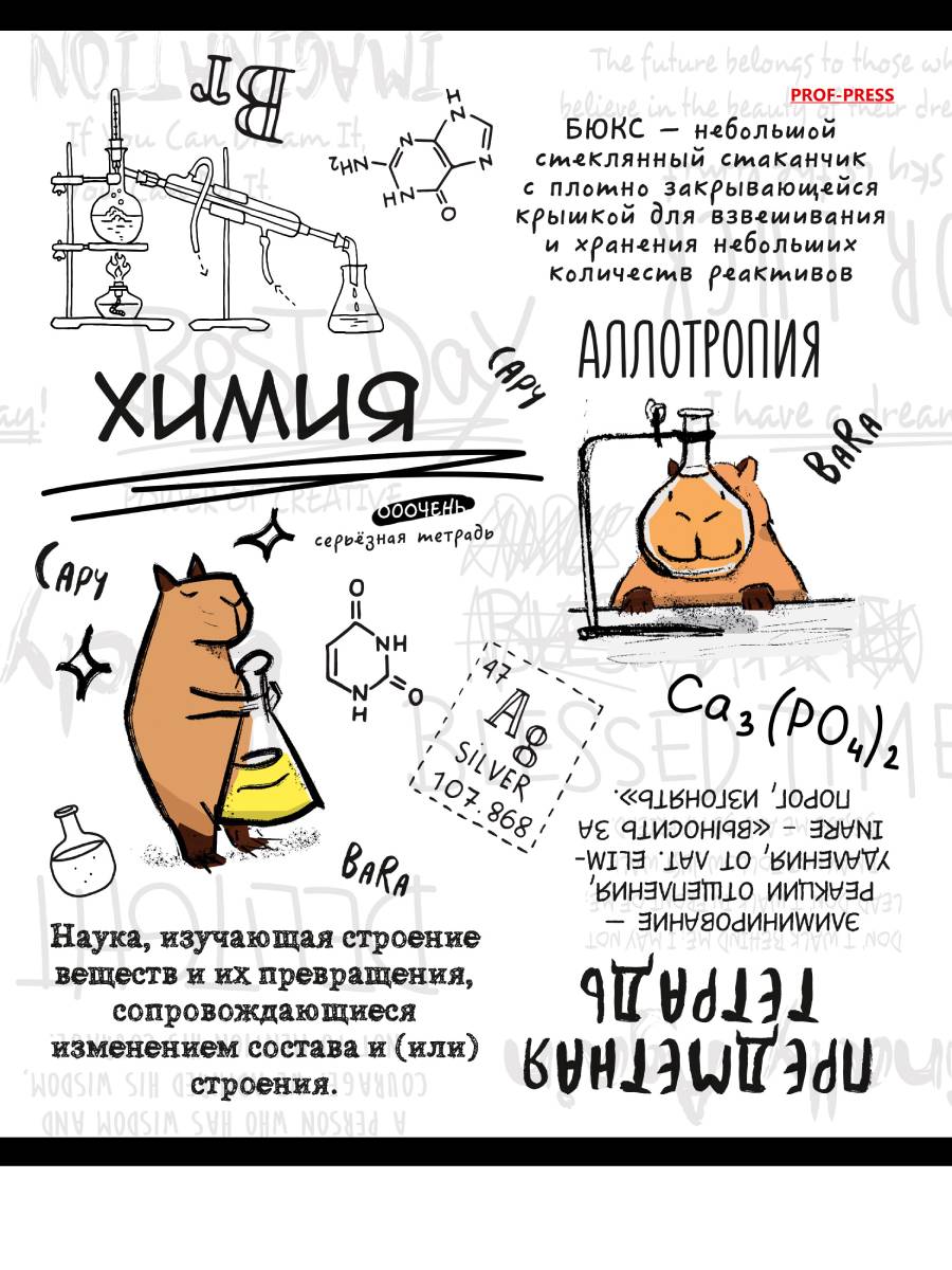 

Тетрадь предметная 48л клетка мелов.картон Капибара Химия лен PROF-PRESS 48-0002