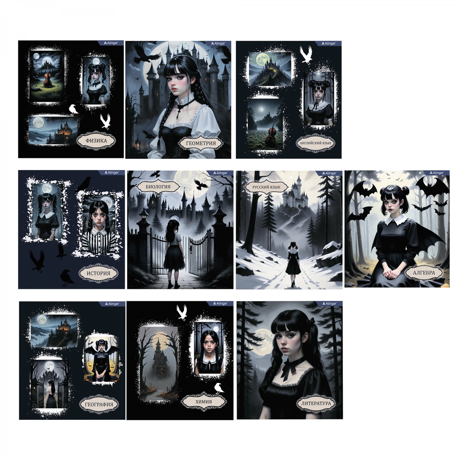 

Тетрадь предметная 48л мелов.картон комплект 10шт Mystical wednesday ALINGAR AL11492