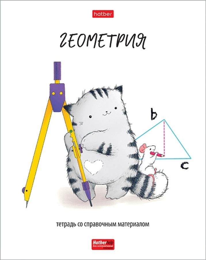 

Тетрадь предметная 48л клетка обл.мелов.бум. Приключения кота Пирожка Геометрия HATBER 48Т5Вd1_33032