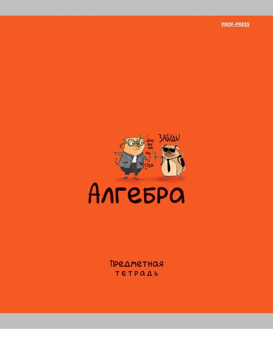

Тетрадь предметная 48л клетка мелов.картон Mini Friends Алгебра PROF-PRESS 48-2503